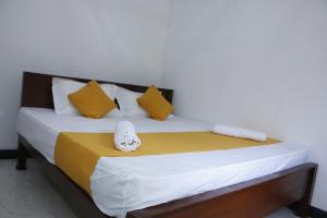 Dinu Senu Dream Guest