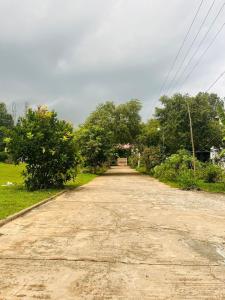 The Forest Creek by Living Circle