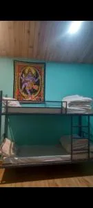 Area51 cafeandfarmstay - Кулу