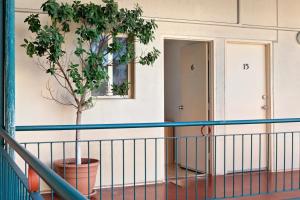 Melbourne Street Haven