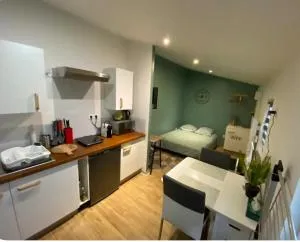 LE PATIO Studio-Terrasse Montbeliard-Centre - 索肖