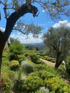 B&B / Chambres d'hotes La Bastide Sainte Therese : photos des chambres