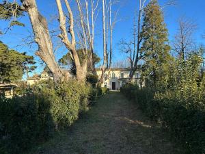 Maisons d'hotes Mas Provencal Luxe - Piscine et parc classe : photos des chambres