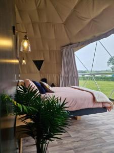 Mountain Forge Escape GlampingCamping site