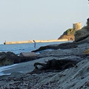 LA PALGE Le Centuri