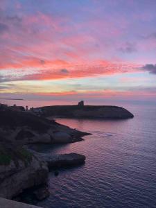 Ale house experience img12