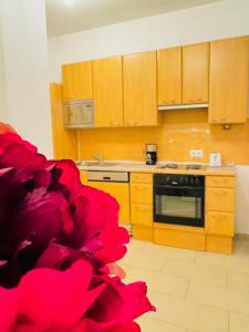 Chic Studio Apt for 5P, 12-Min Walk to Augarten