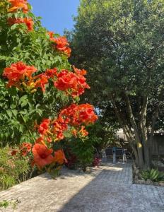 Maisons de vacances Gite au coeur des vignes : photos des chambres