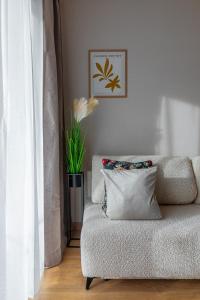 Daj Sobie Spokój Belle View SPA