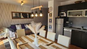 Bansko Prespa Ski Penthouse