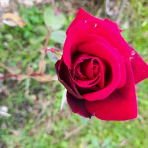 Appartements Plaisir a la mer B : photos des chambres