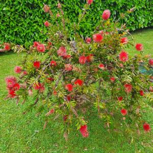 Appartements Plaisir a la mer B : photos des chambres