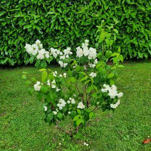 Appartements Plaisir a la mer B : photos des chambres