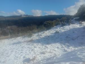 Une chambre et une cuisine Un lit de deux personnes aussi deux places pour les enfants Famille