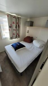 Mobile-home confort 3 chambres au camping, La Bourboule