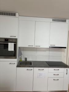 2 Zimmer Appartement mit eigenem Bad und Küche