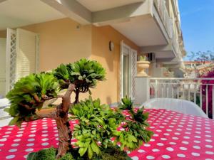 Garden House Apartament