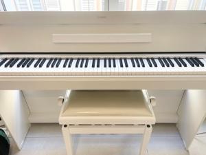 Logement neuf entier Petite France