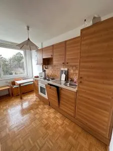 Green paradise near Vienna 3 room and balcony - 新特尔布鲁