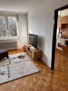 Green paradise near Vienna 3 room and balcony