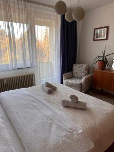 Green paradise near Vienna 3 room and balcony