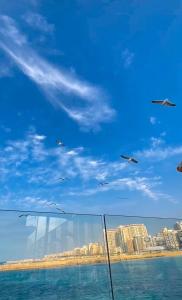 Apartment for rent with a magical view