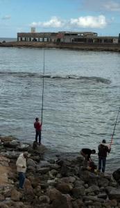 Apartment for rent with a magical view