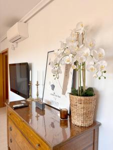 Residencial Tabarca