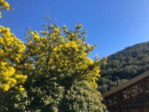 Maisons de vacances El refugio : photos des chambres