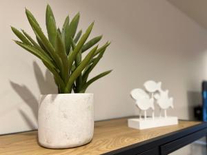 El rincón de San Lorenzo-Subirats