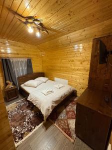 Cabana Violeta Arieseni