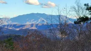 Lazy Bear Cabin - Clinton