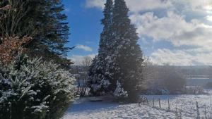 Your Ardennes Adventure - Studio