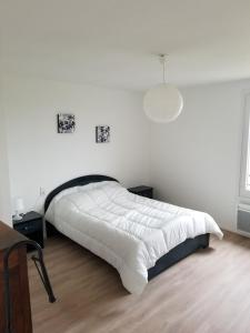 Maisons de vacances Grand Gite grande capacite dans l-Allier : photos des chambres
