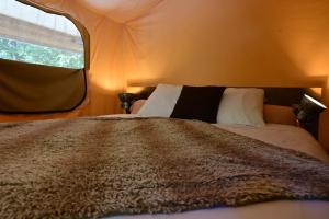 Hotels Prehistoric Lodge - Adult Only : photos des chambres