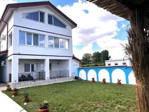 Pensiunea Casa Albă - 图兹拉