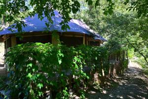 Hotels Prehistoric Lodge - Adult Only : Chambre Double