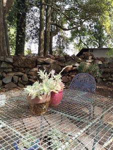 Primula Cottage at Hillhouse