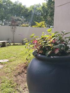 Primula Cottage at Hillhouse