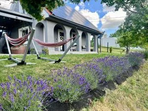 Völgyhíd Village Balaton - Kötcse