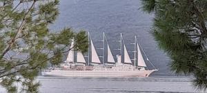 Apartments Tomi & Ivana