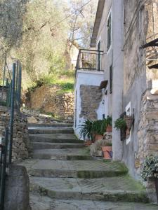 Ligurisches Rustico, umgeben von Olivenhainen am Dorfrand