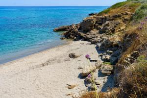 Appartements La Caletta Corsa Apartments con due camere a 100 m dal mare - WiFi fibra FTTH - ALL INCLUSIVE : photos des chambres