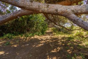 Appartements La Caletta Corsa Apartments con due camere a 100 m dal mare - WiFi fibra FTTH - ALL INCLUSIVE : photos des chambres