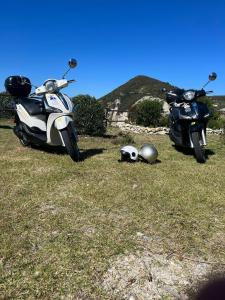 Da Lucia - Alloggio turistico Santa Maria