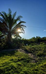 Casa Alma Pura - Corumbau BA