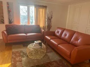 Tremont Hidden Treasure - 斯普林菲尔德