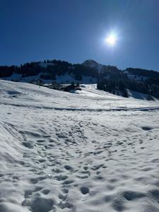 Cozy Chalet Bergblick