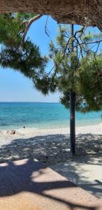 Sea view apartment Manda