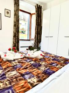 Ubetty village center two-bedrooms apartment 5terreparco